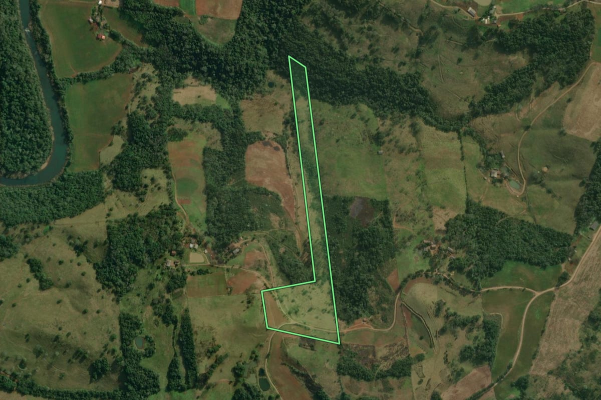 Imagem de satélite do imóvel rural em Paraíso (SC), com o contorno declarado no CAR desenhado por cima.