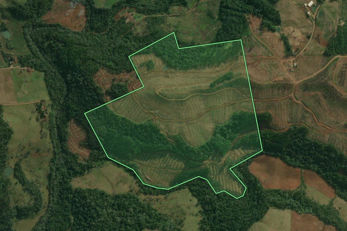 Imagem de satélite do imóvel rural em Paraíso (SC), com o contorno declarado no CAR desenhado por cima.