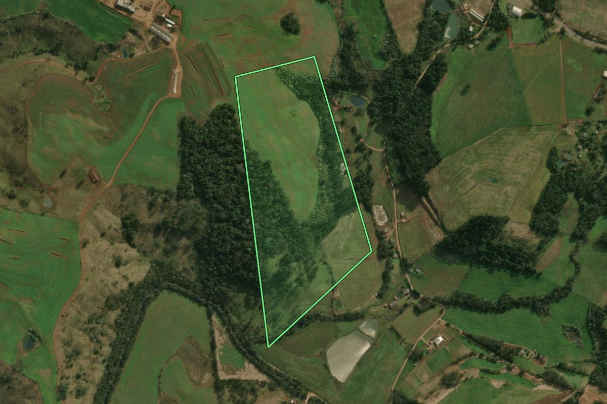 Imagem de satélite do imóvel rural em Paraíso (SC), com o contorno declarado no CAR desenhado por cima.