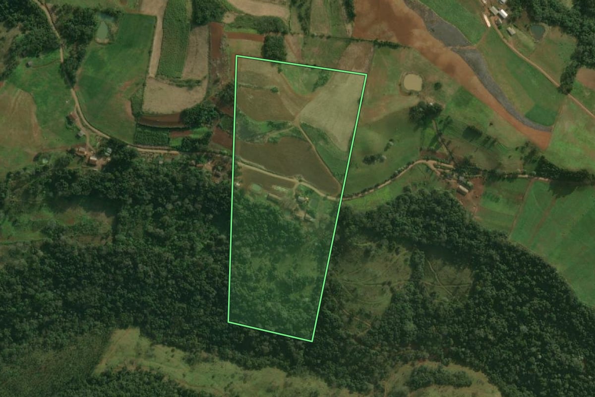 Imagem de satélite do imóvel rural em Paraíso (SC), com o contorno declarado no CAR desenhado por cima.