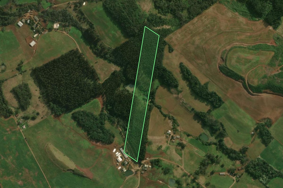 Imagem de satélite do imóvel rural em Paraíso (SC), com o contorno declarado no CAR desenhado por cima.