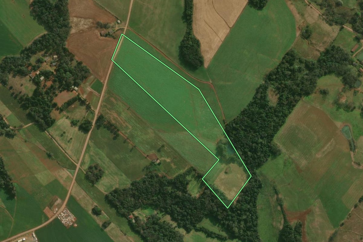 Imagem de satélite do imóvel rural em Paraíso (SC), com o contorno declarado no CAR desenhado por cima.