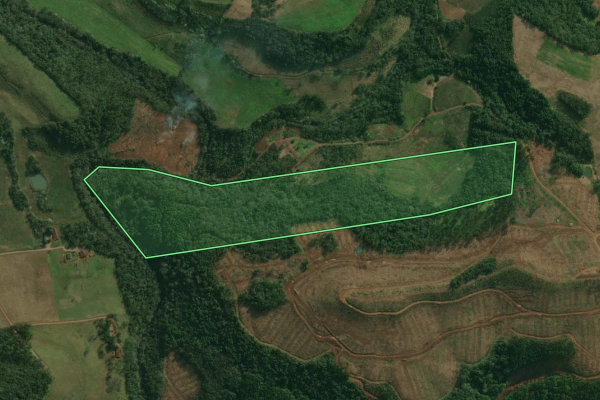 Imagem de satélite do imóvel rural em Paraíso (SC), com o contorno declarado no CAR desenhado por cima.