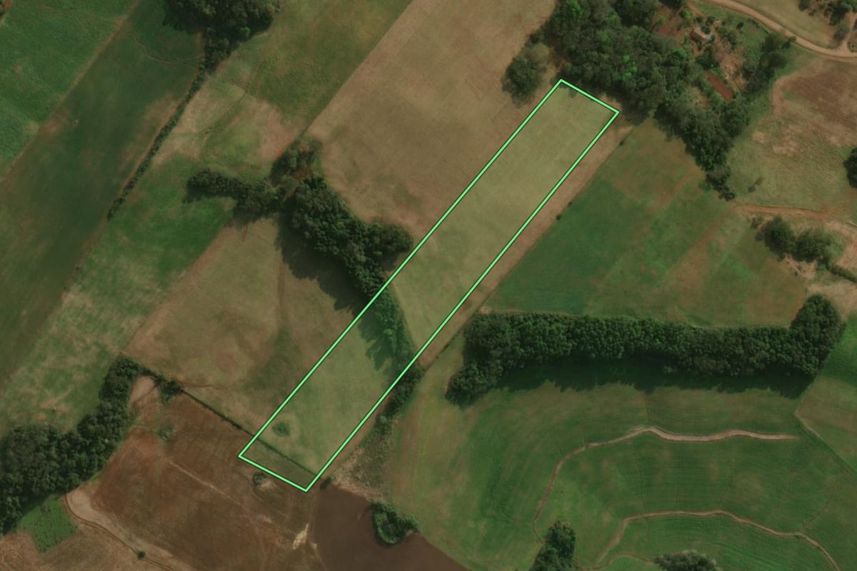 Imagem de satélite do imóvel rural em Paraíso (SC), com o contorno declarado no CAR desenhado por cima.