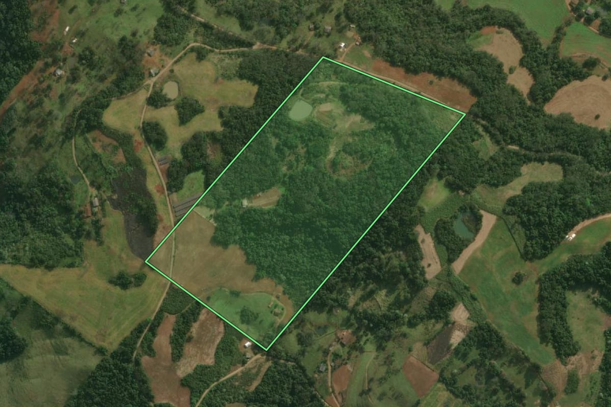 Imagem de satélite do imóvel rural em Paraíso (SC), com o contorno declarado no CAR desenhado por cima.