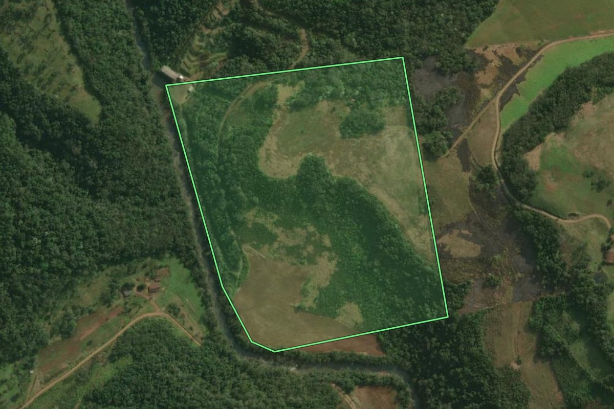 Imagem de satélite do imóvel rural em Paraíso (SC), com o contorno declarado no CAR desenhado por cima.