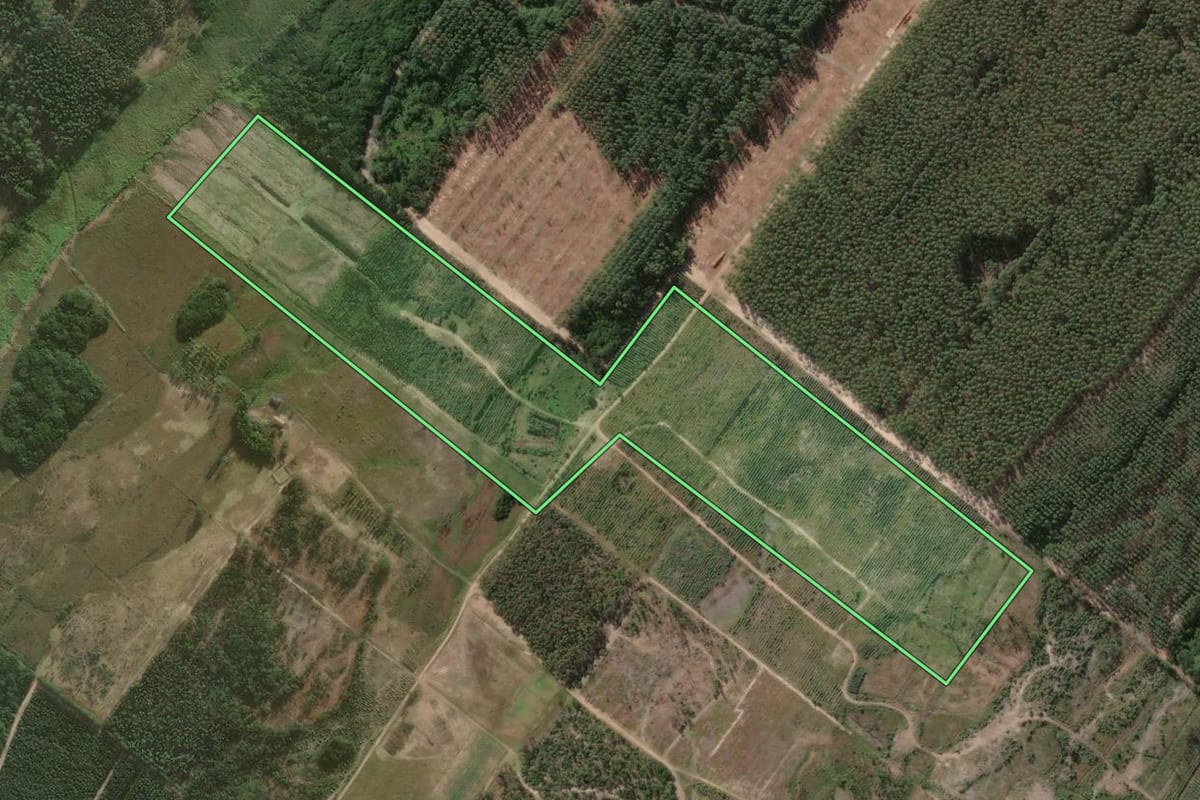 Imagem de satélite do imóvel rural em Passo de Torres (SC), com o contorno declarado no CAR desenhado por cima.