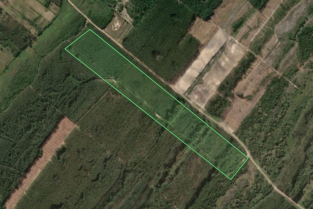 Imagem de satélite do imóvel rural em Passo de Torres (SC), com o contorno declarado no CAR desenhado por cima.
