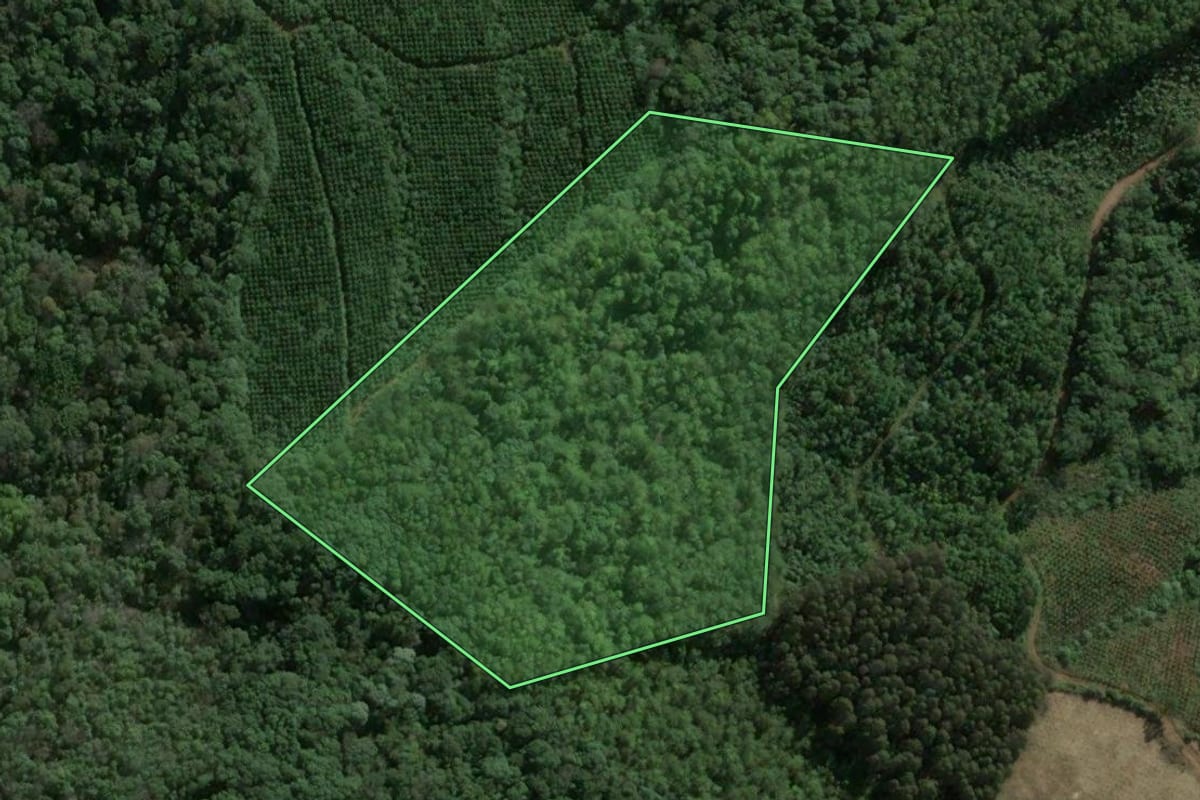 Imagem de satélite do imóvel rural em Passos Maia (SC), com o contorno declarado no CAR desenhado por cima.