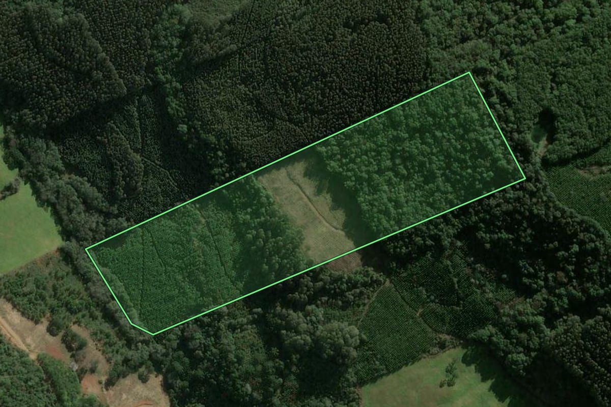 Imagem de satélite do imóvel rural em Passos Maia (SC), com o contorno declarado no CAR desenhado por cima.