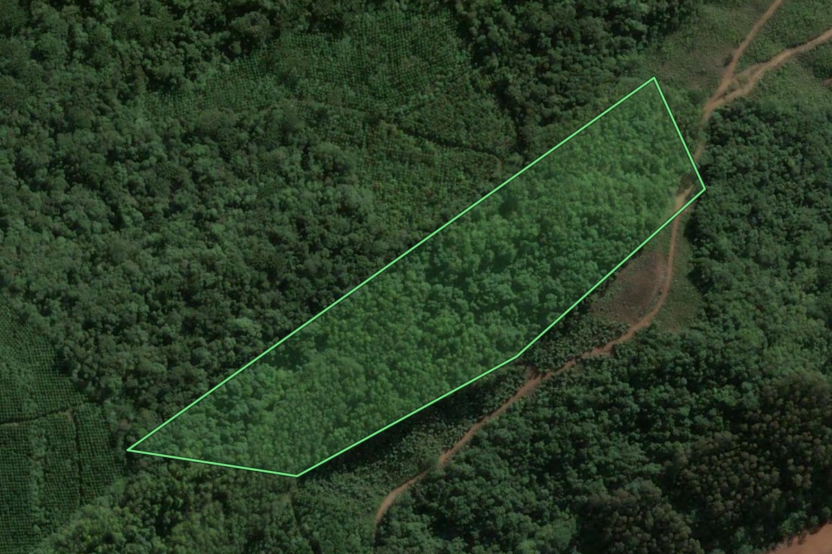 Imagem de satélite do imóvel rural em Passos Maia (SC), com o contorno declarado no CAR desenhado por cima.
