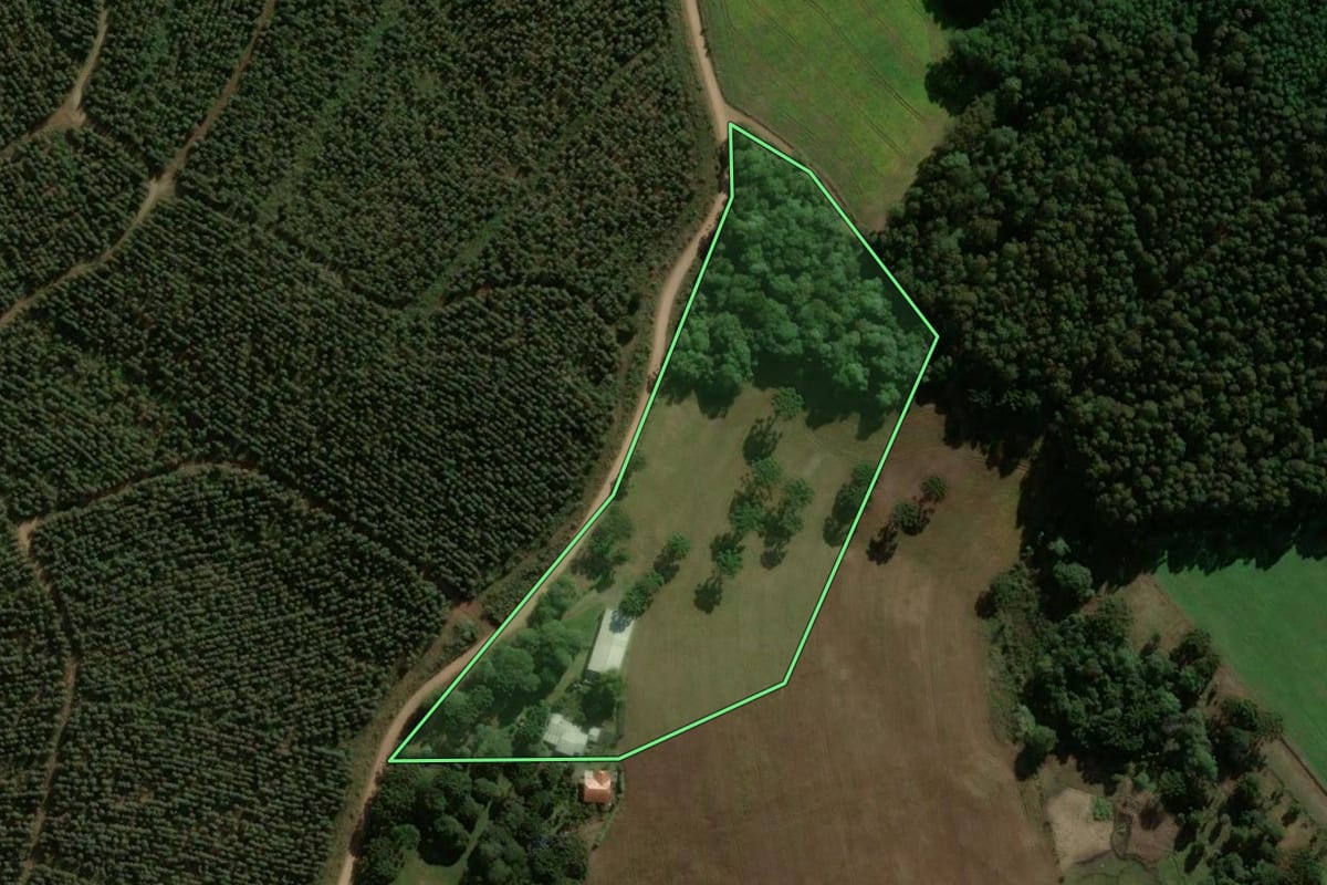 Imagem de satélite do imóvel rural em Passos Maia (SC), com o contorno declarado no CAR desenhado por cima.