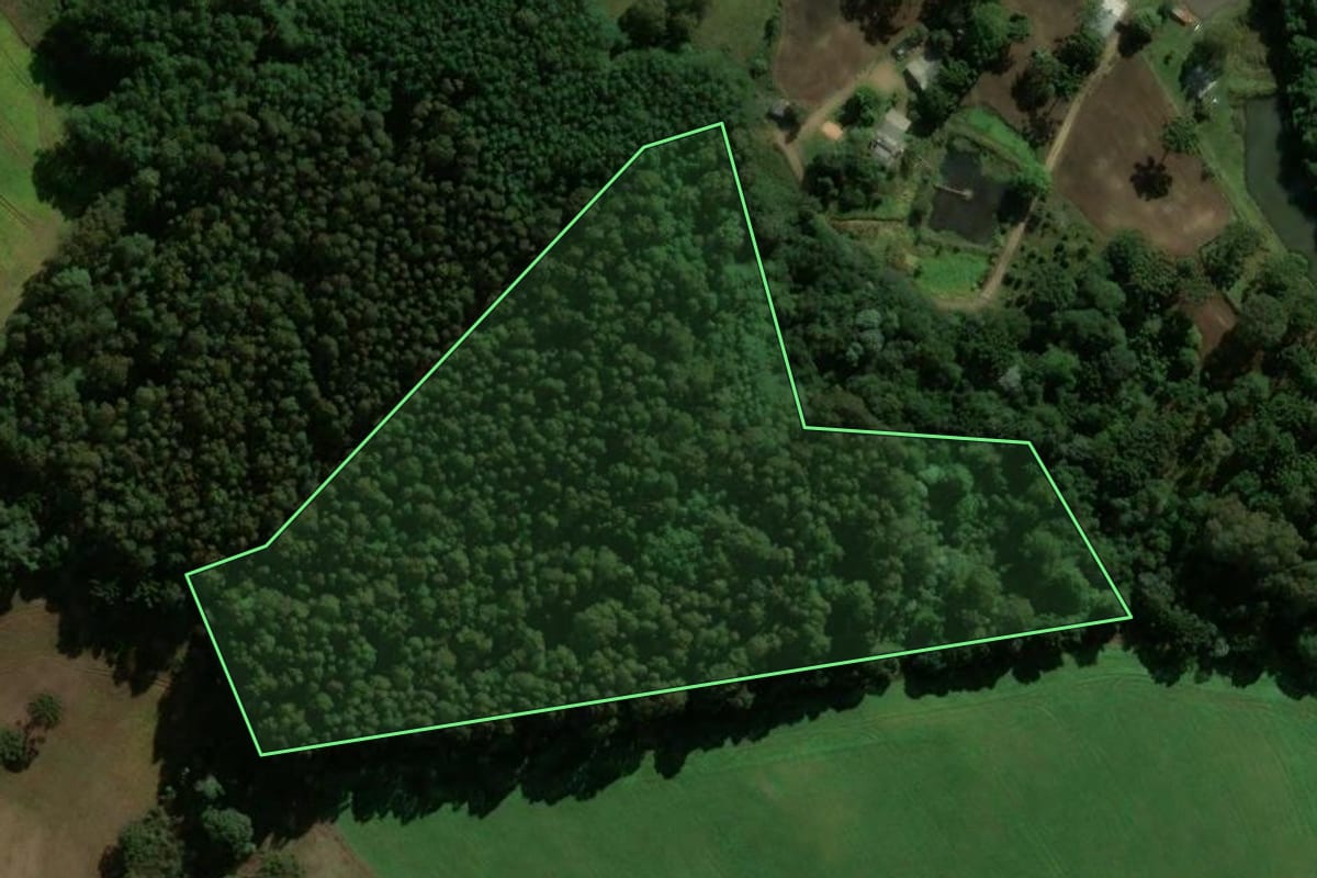 Imagem de satélite do imóvel rural em Passos Maia (SC), com o contorno declarado no CAR desenhado por cima.