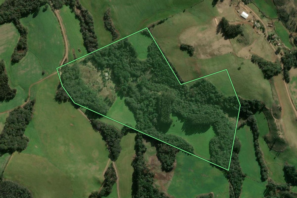 Imagem de satélite do imóvel rural em Passos Maia (SC), com o contorno declarado no CAR desenhado por cima.
