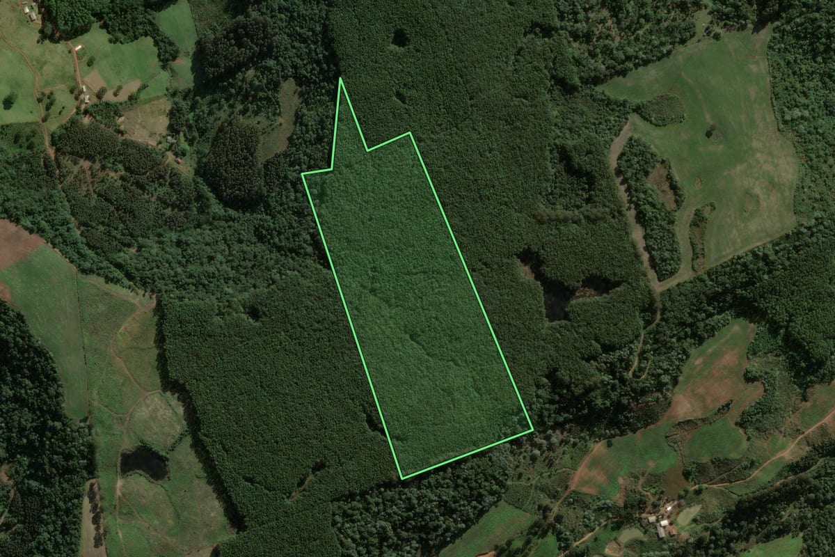 Imagem de satélite do imóvel rural em Passos Maia (SC), com o contorno declarado no CAR desenhado por cima.