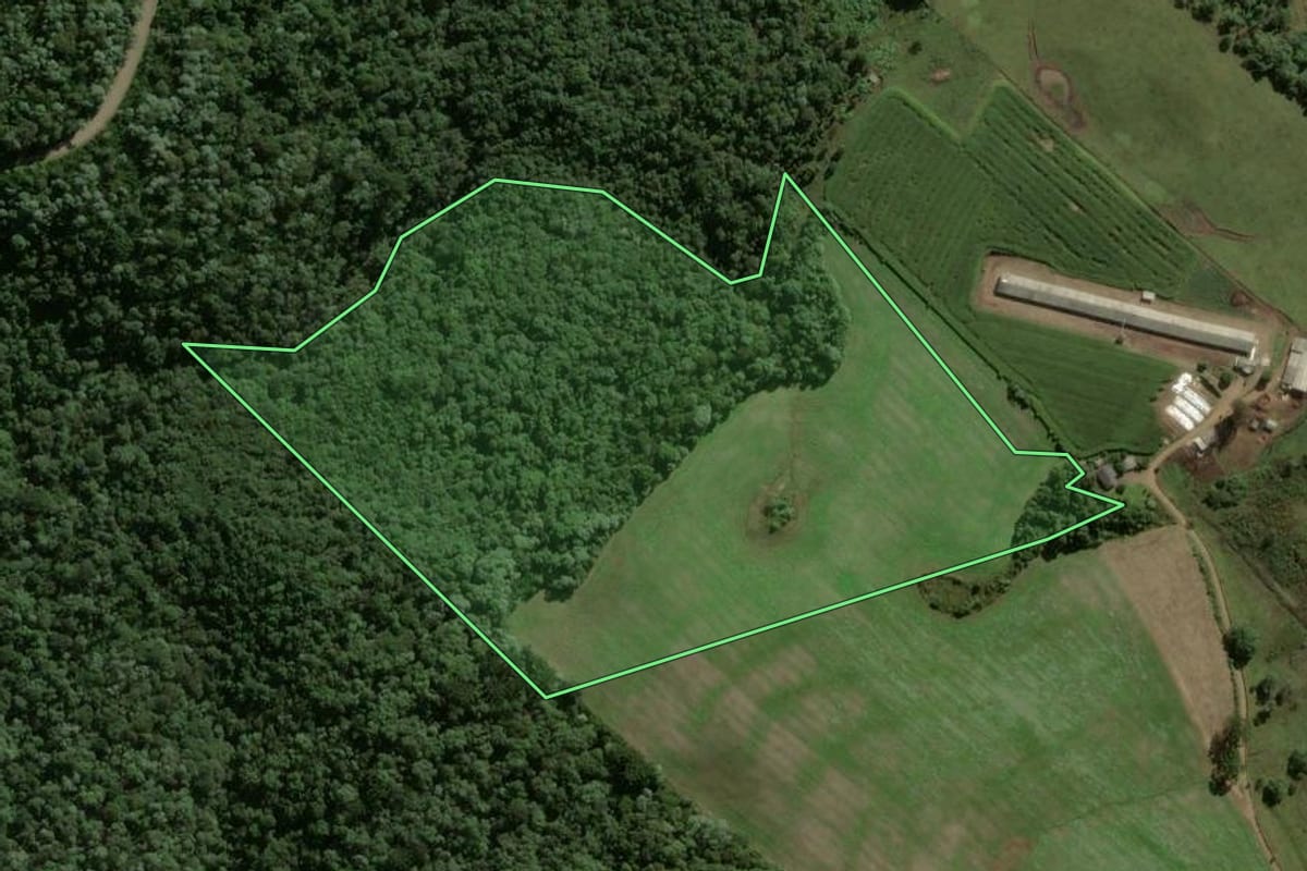 Imagem de satélite do imóvel rural em Passos Maia (SC), com o contorno declarado no CAR desenhado por cima.
