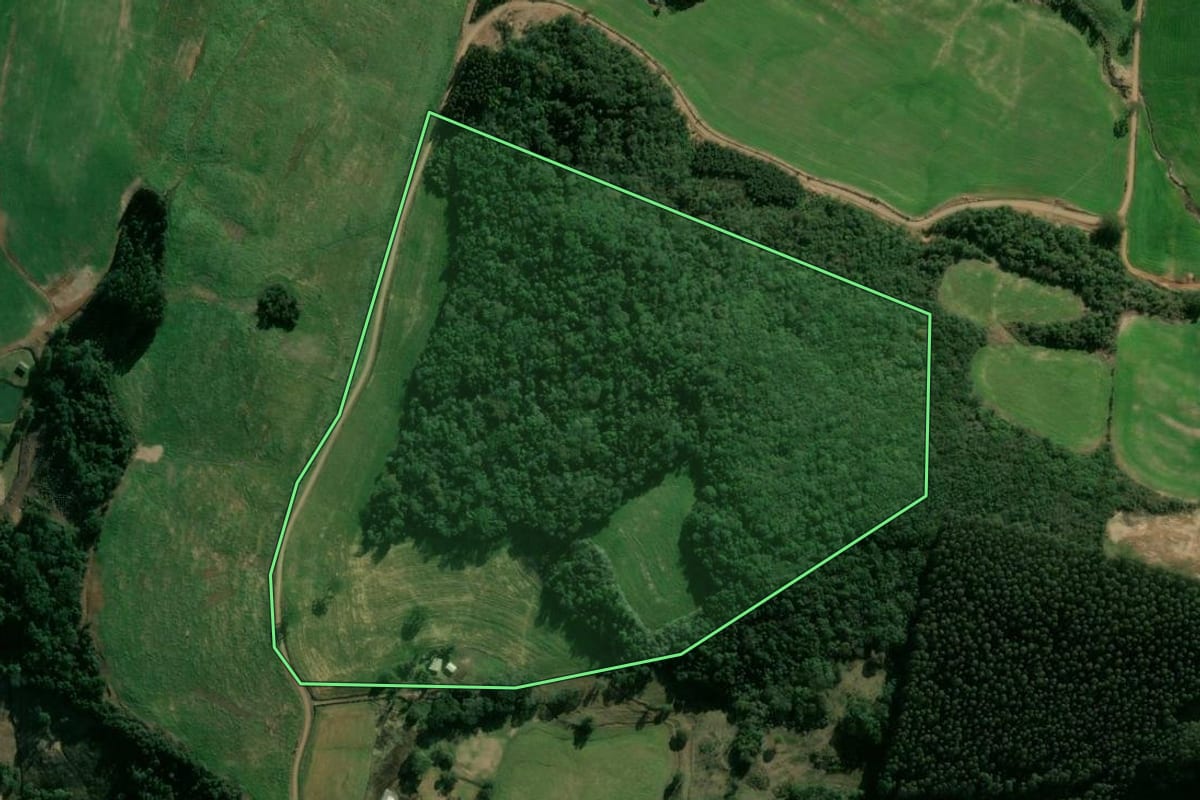 Imagem de satélite do imóvel rural em Passos Maia (SC), com o contorno declarado no CAR desenhado por cima.