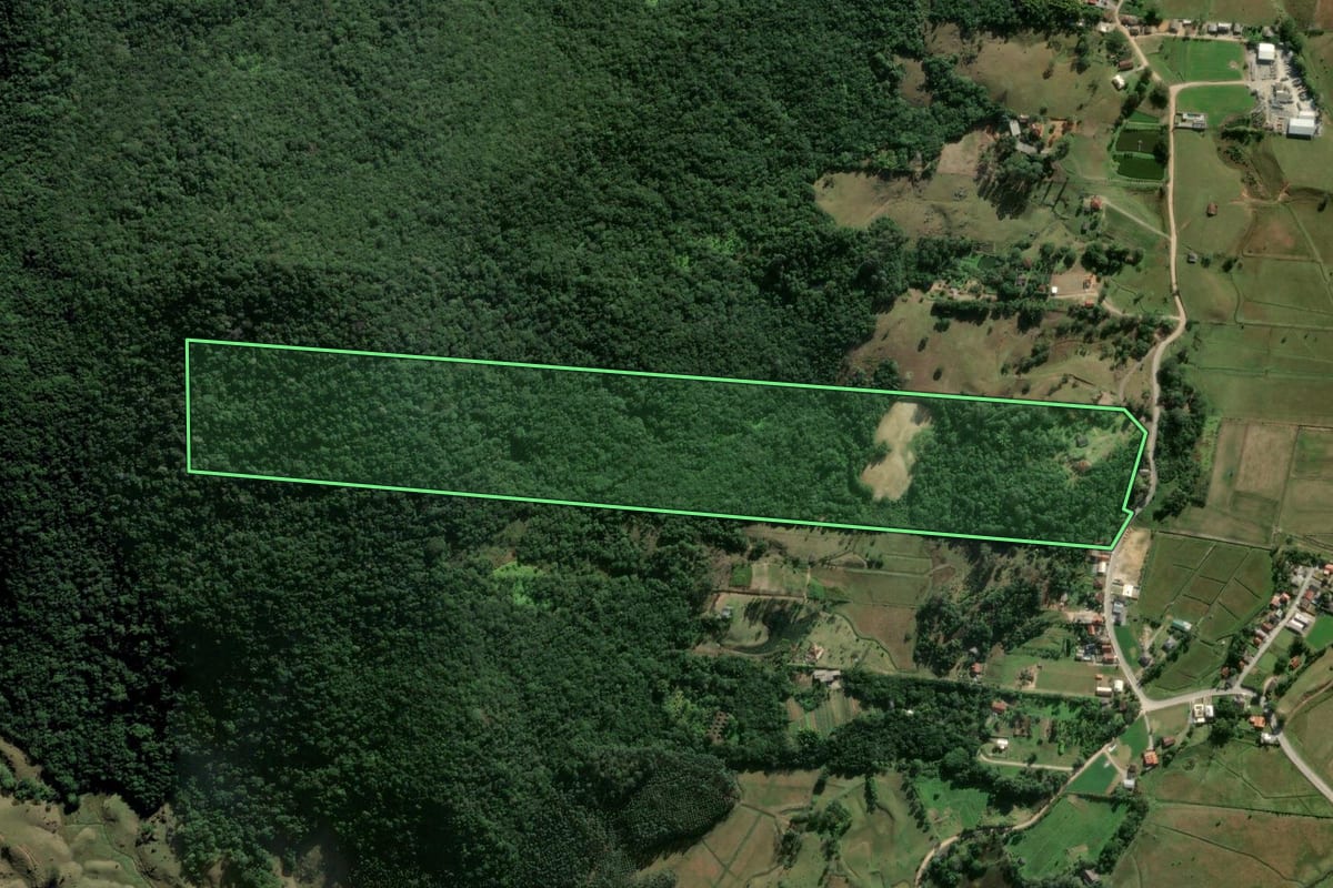 Imagem de satélite do imóvel rural em Paulo Lopes (SC), com o contorno declarado no CAR desenhado por cima.