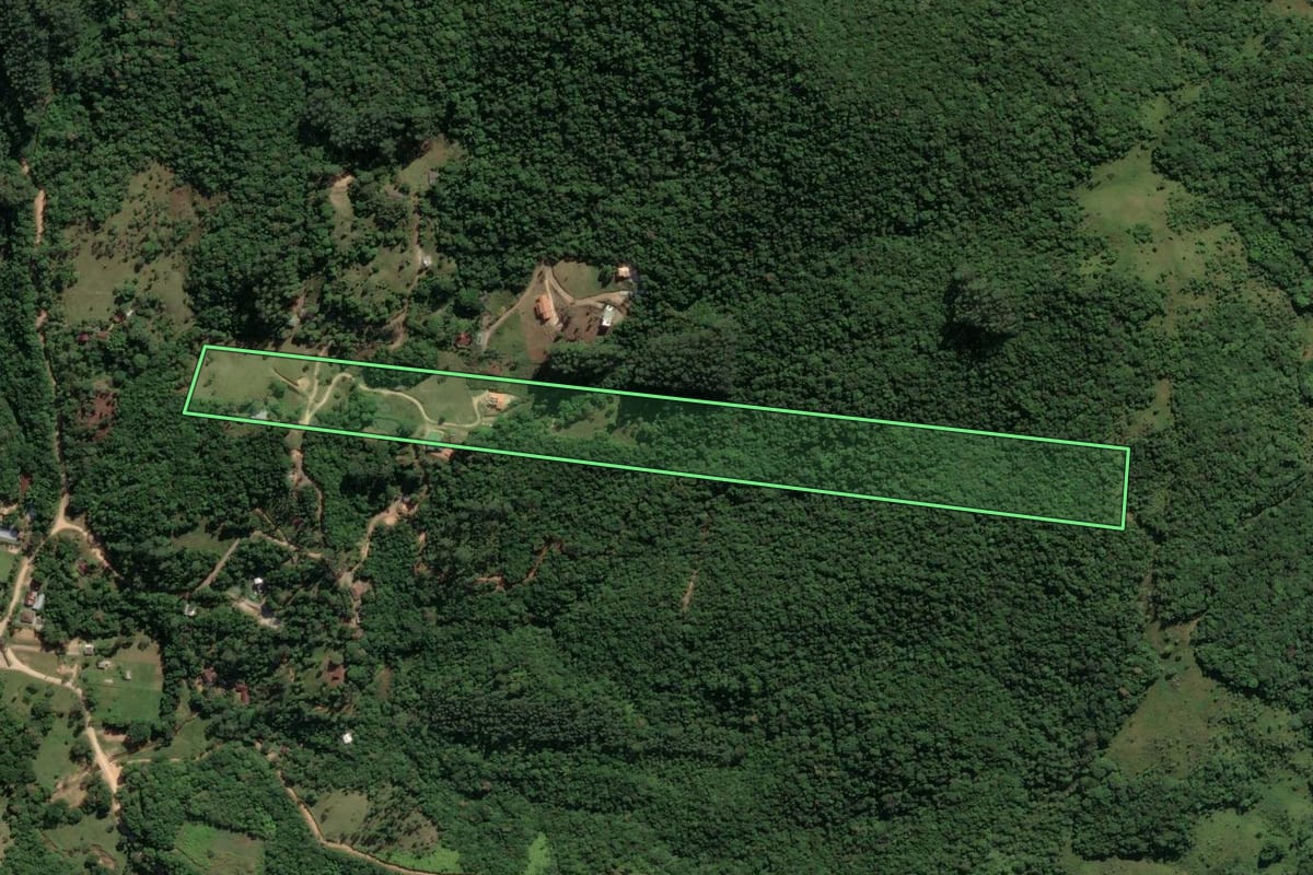 Imagem de satélite do imóvel rural em Paulo Lopes (SC), com o contorno declarado no CAR desenhado por cima.