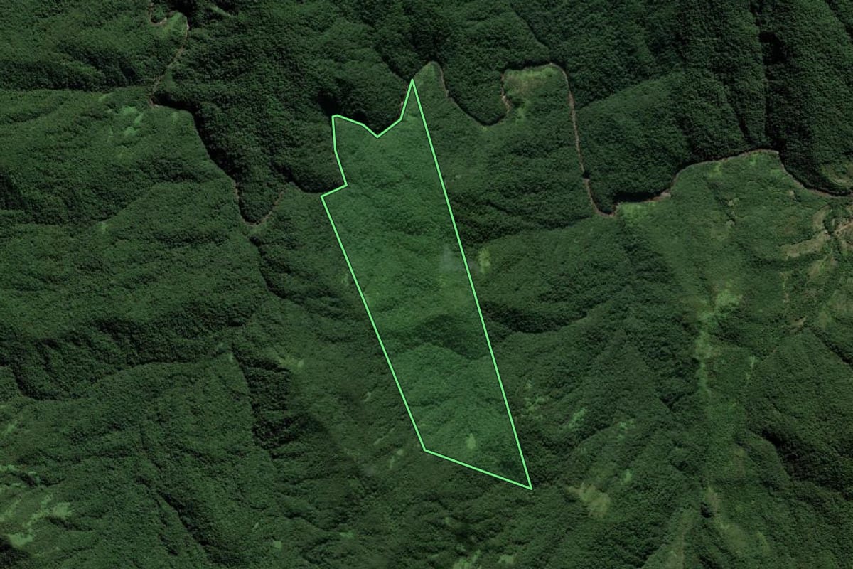 Imagem de satélite do imóvel rural em Paulo Lopes (SC), com o contorno declarado no CAR desenhado por cima.