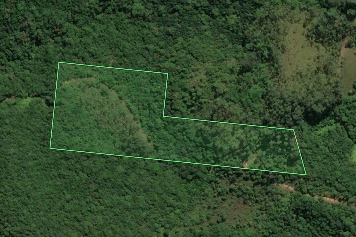 Imagem de satélite do imóvel rural em Paulo Lopes (SC), com o contorno declarado no CAR desenhado por cima.
