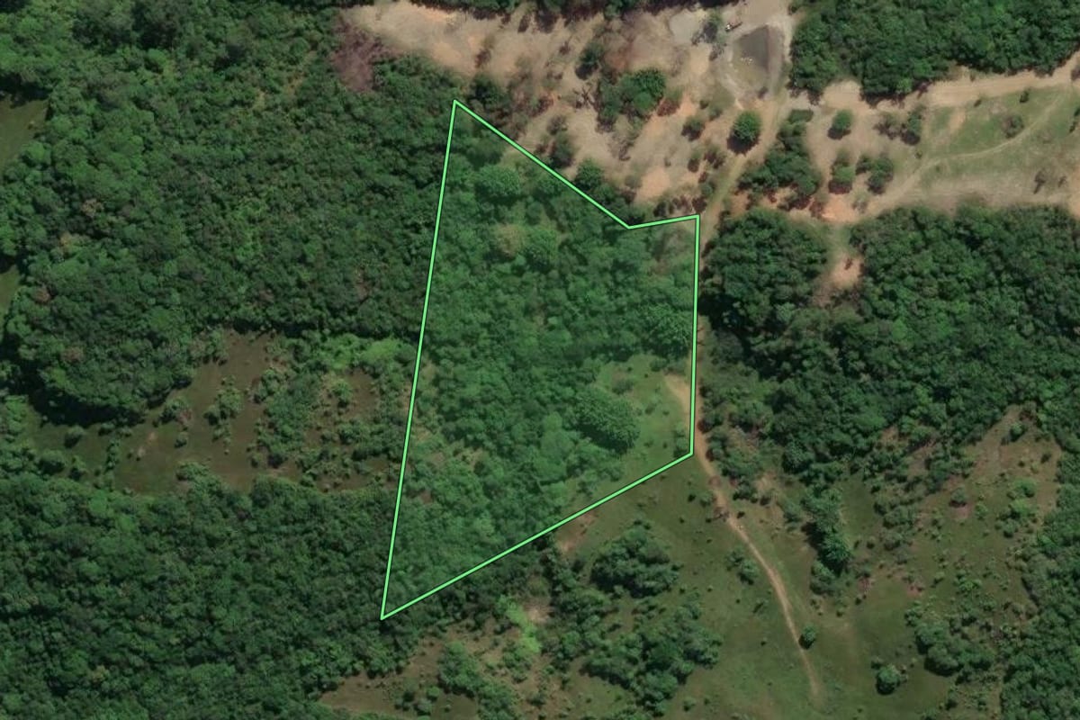 Imagem de satélite do imóvel rural em Paulo Lopes (SC), com o contorno declarado no CAR desenhado por cima.