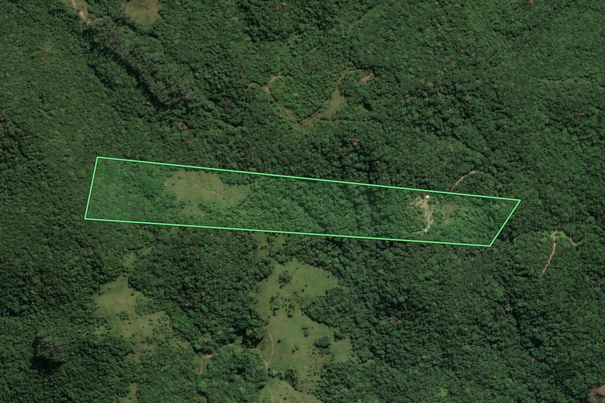 Imagem de satélite do imóvel rural em Paulo Lopes (SC), com o contorno declarado no CAR desenhado por cima.