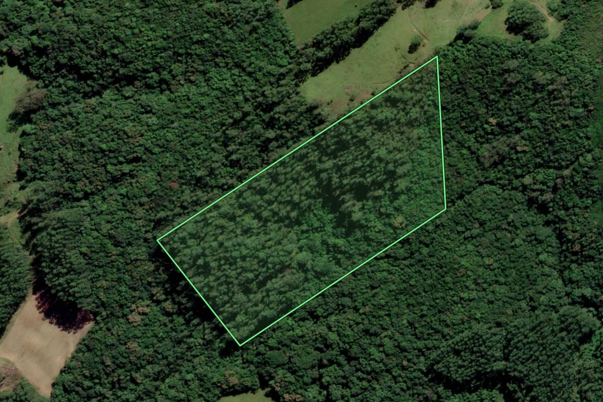 Imagem de satélite do imóvel rural em Pedras Grandes (SC), com o contorno declarado no CAR desenhado por cima.