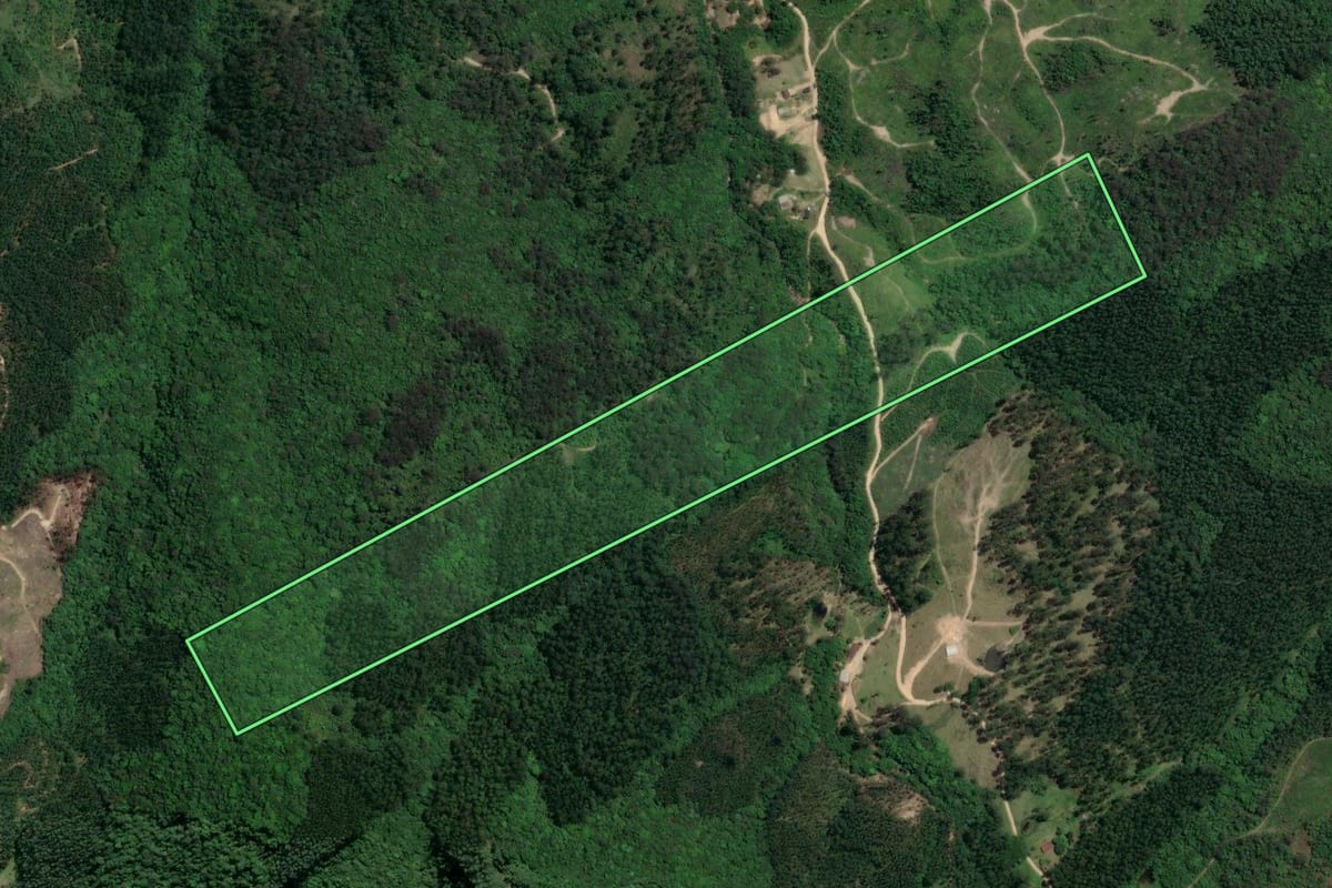 Imagem de satélite do imóvel rural em Pedras Grandes (SC), com o contorno declarado no CAR desenhado por cima.