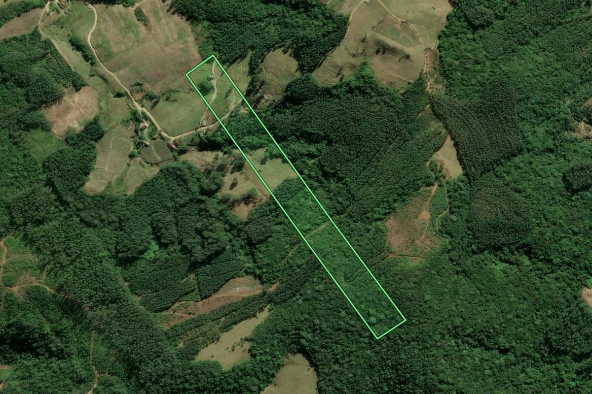 Imagem de satélite do imóvel rural em Pedras Grandes (SC), com o contorno declarado no CAR desenhado por cima.
