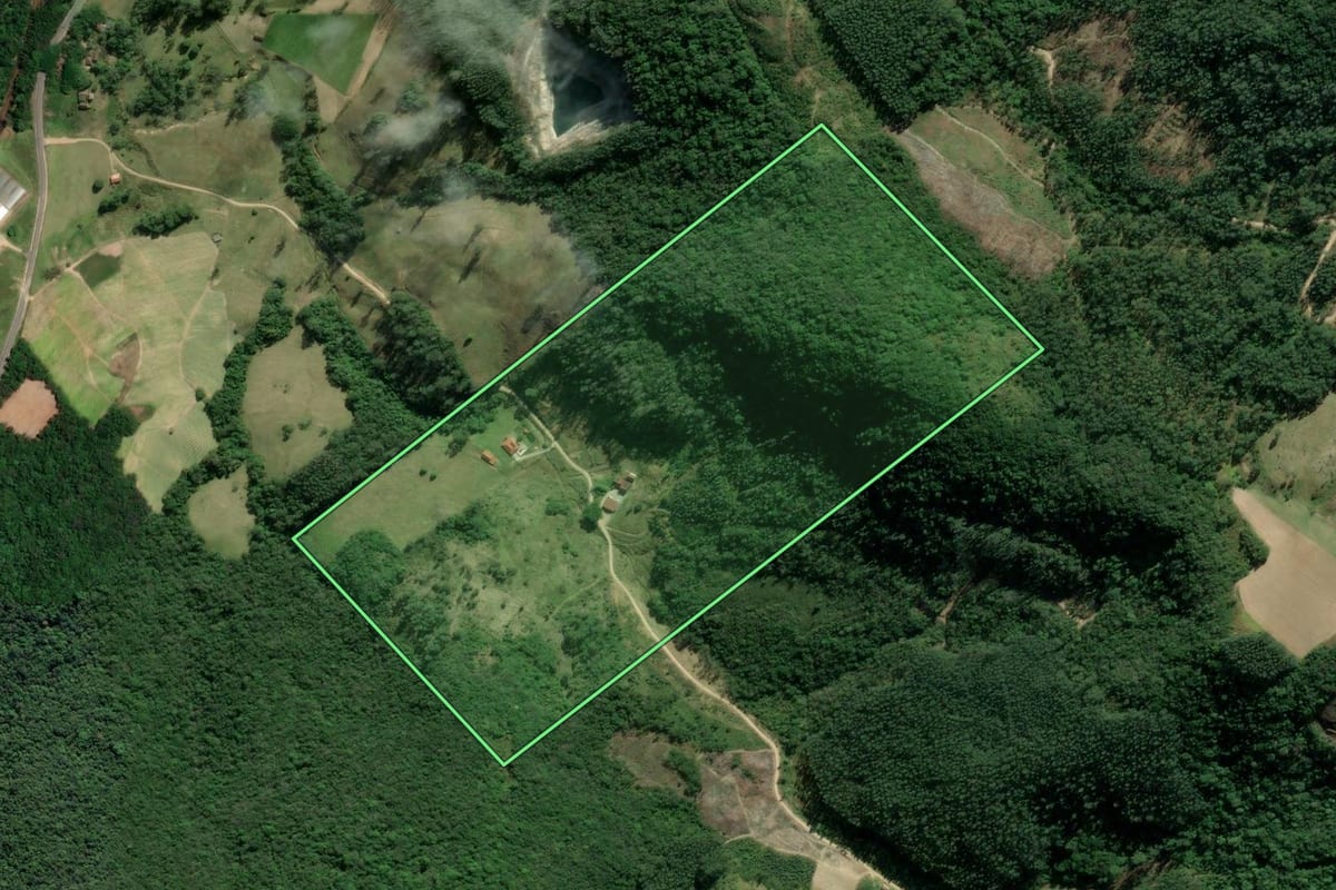 Imagem de satélite do imóvel rural em Pedras Grandes (SC), com o contorno declarado no CAR desenhado por cima.