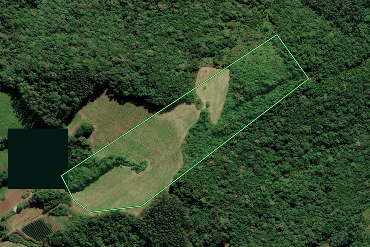 Imagem de satélite do imóvel rural em Pedras Grandes (SC), com o contorno declarado no CAR desenhado por cima.