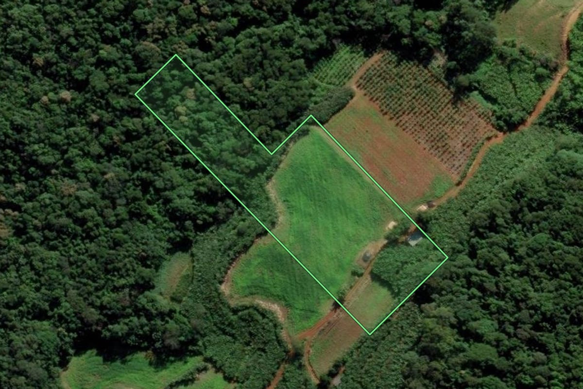 Imagem de satélite do imóvel rural em Pedras Grandes (SC), com o contorno declarado no CAR desenhado por cima.