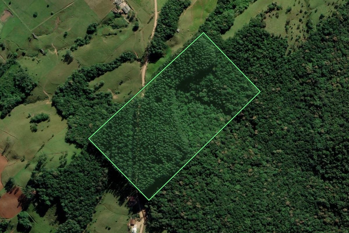 Imagem de satélite do imóvel rural em Pedras Grandes (SC), com o contorno declarado no CAR desenhado por cima.
