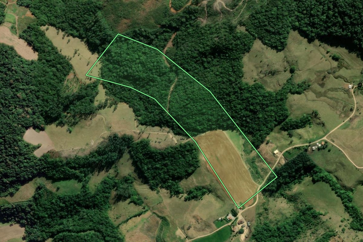 Imagem de satélite do imóvel rural em Pedras Grandes (SC), com o contorno declarado no CAR desenhado por cima.