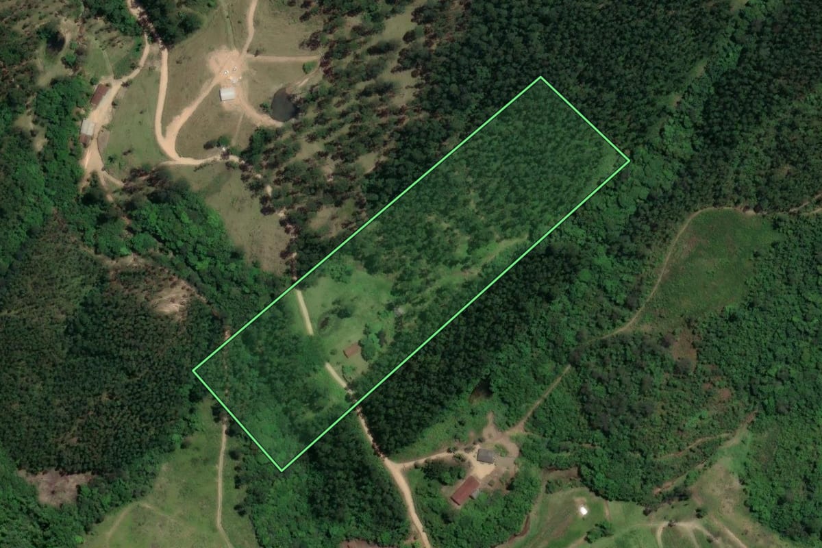 Imagem de satélite do imóvel rural em Pedras Grandes (SC), com o contorno declarado no CAR desenhado por cima.