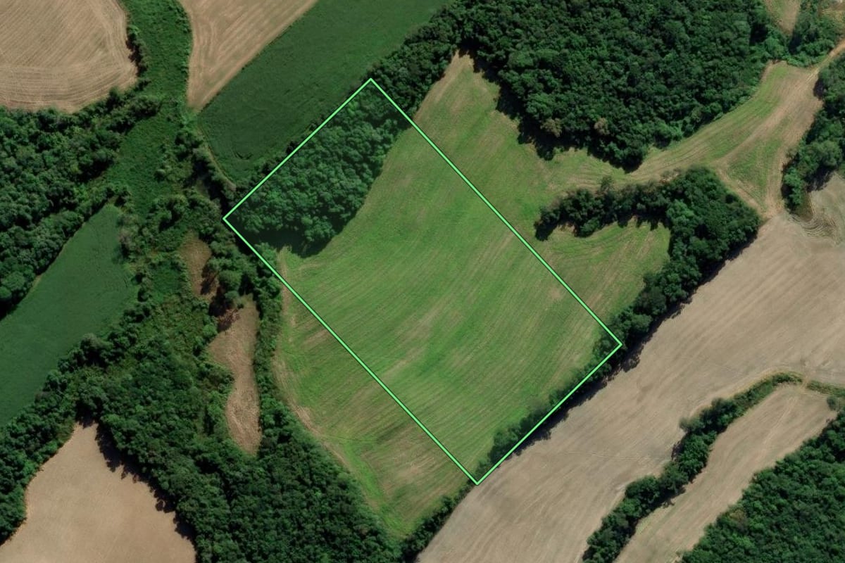Imagem de satélite do imóvel rural em Pedras Grandes (SC), com o contorno declarado no CAR desenhado por cima.