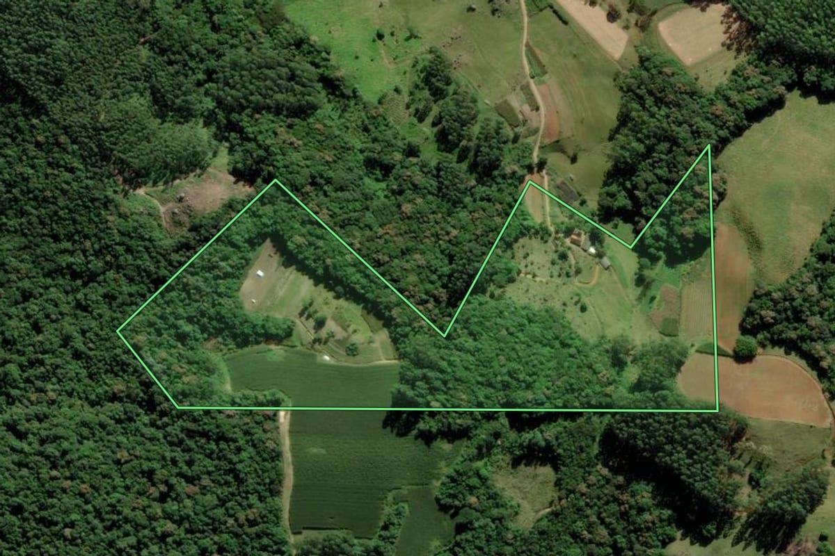 Imagem de satélite do imóvel rural em Pedras Grandes (SC), com o contorno declarado no CAR desenhado por cima.
