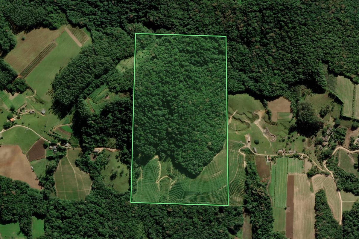 Imagem de satélite do imóvel rural em Pedras Grandes (SC), com o contorno declarado no CAR desenhado por cima.