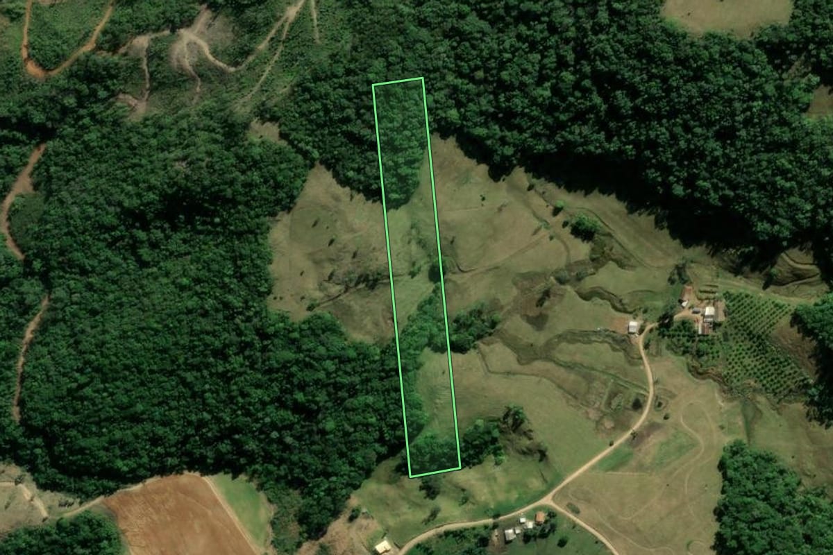 Imagem de satélite do imóvel rural em Pedras Grandes (SC), com o contorno declarado no CAR desenhado por cima.