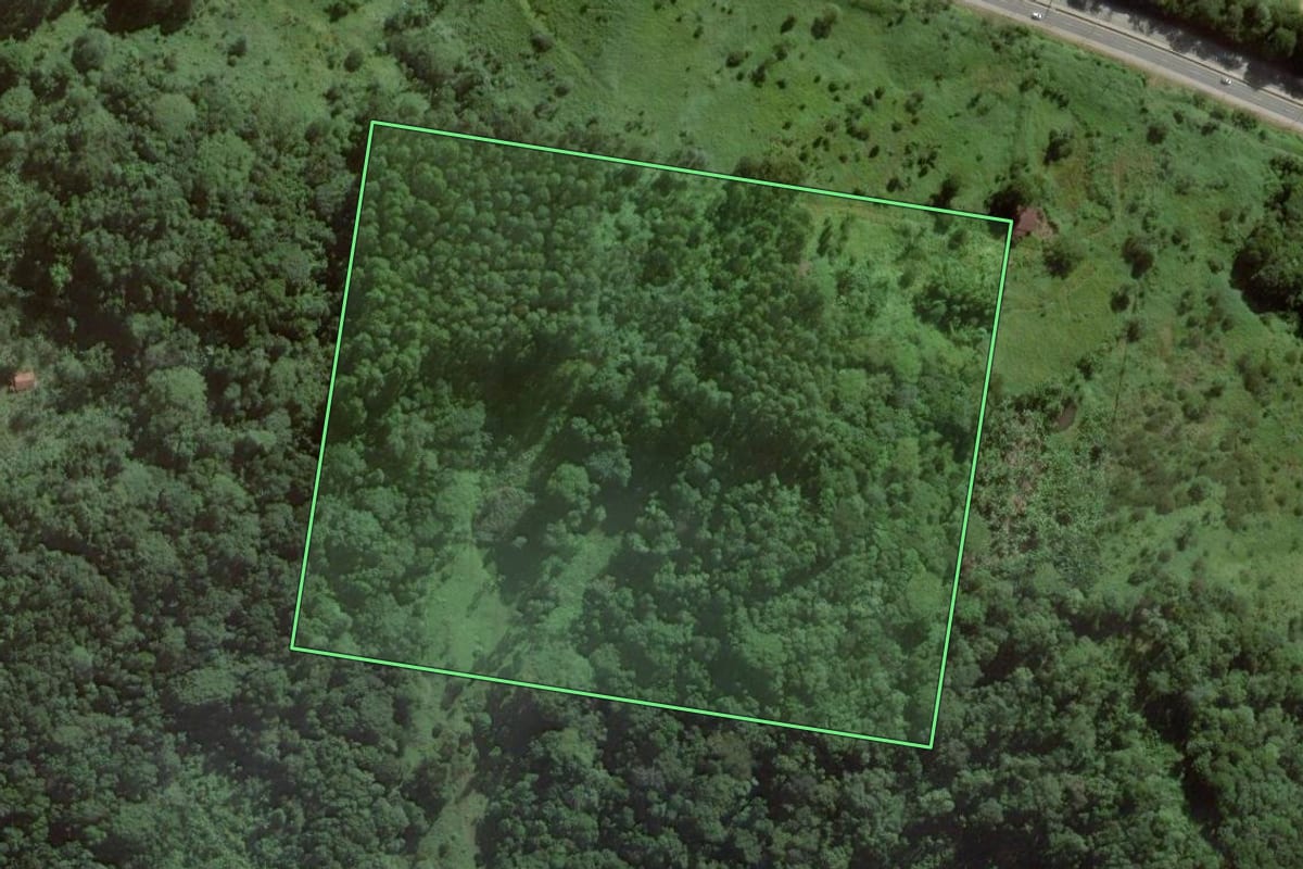 Imagem de satélite do imóvel rural em Penha (SC), com o contorno declarado no CAR desenhado por cima.