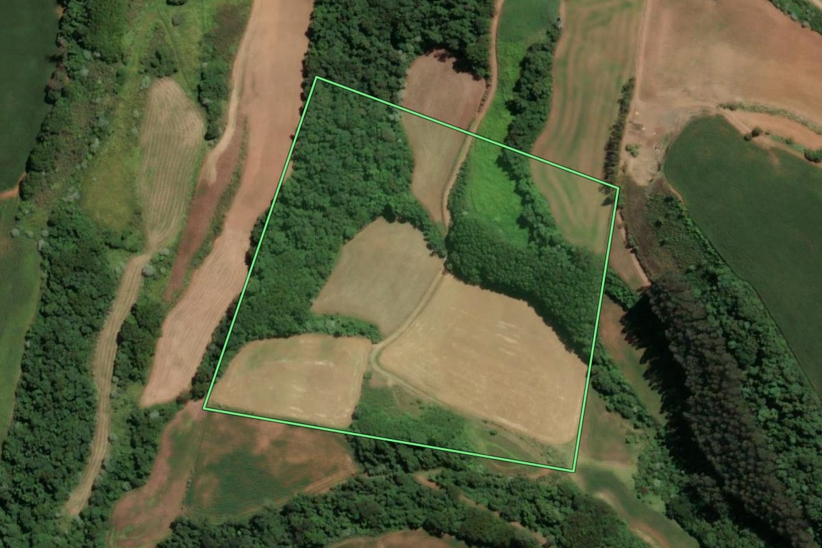 Imagem de satélite do imóvel rural em Peritiba (SC), com o contorno declarado no CAR desenhado por cima.