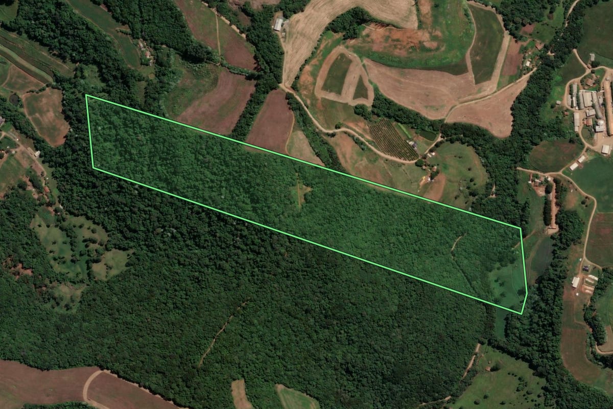 Imagem de satélite do imóvel rural em Peritiba (SC), com o contorno declarado no CAR desenhado por cima.