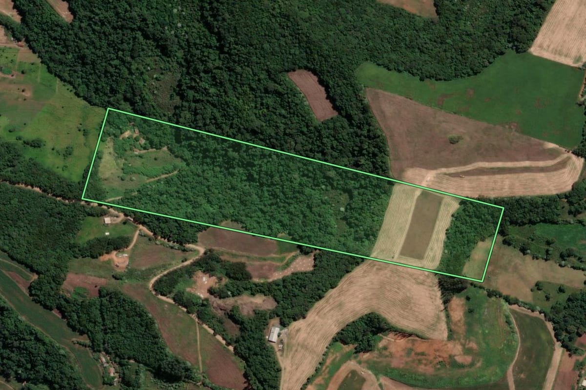 Imagem de satélite do imóvel rural em Peritiba (SC), com o contorno declarado no CAR desenhado por cima.