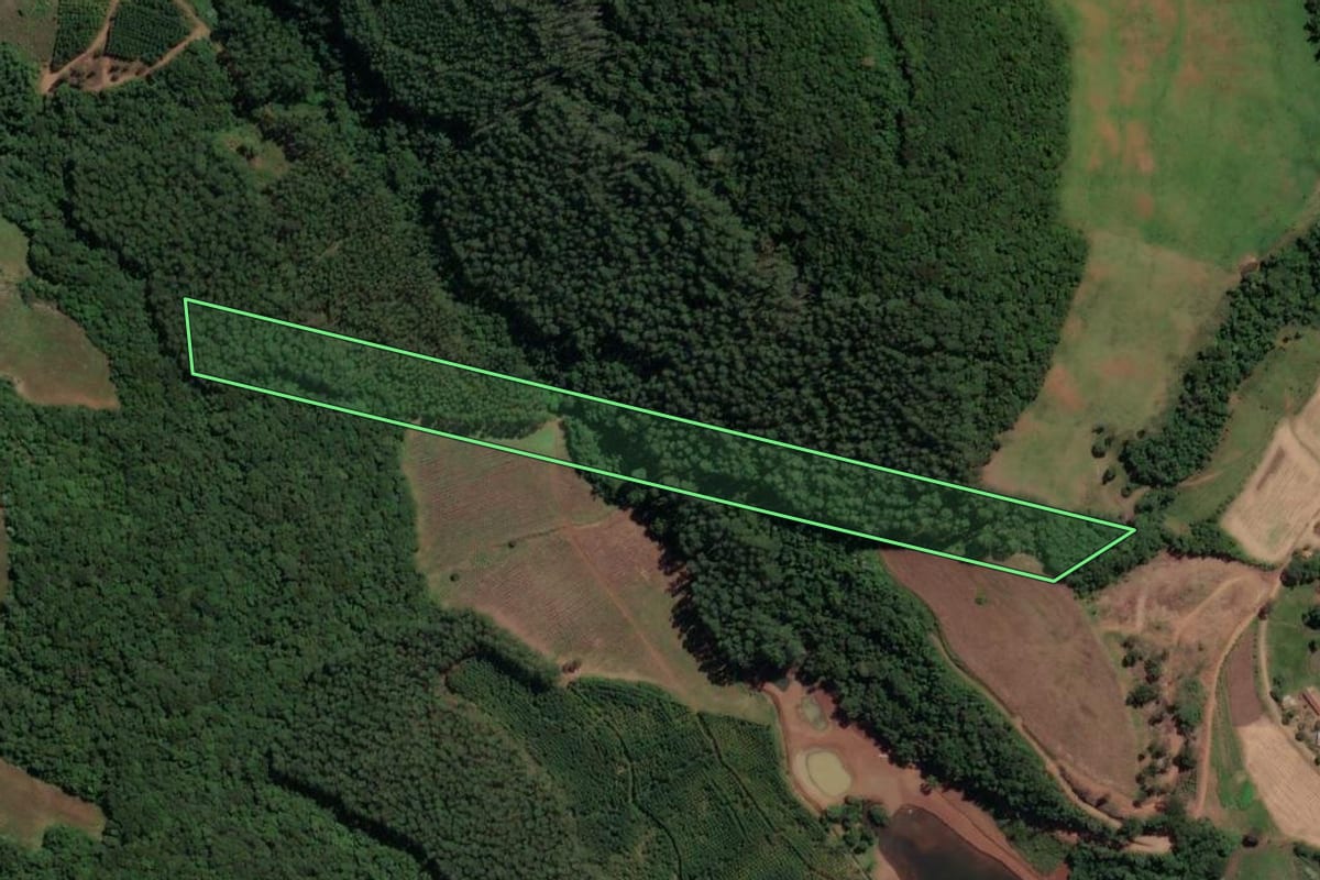 Imagem de satélite do imóvel rural em Peritiba (SC), com o contorno declarado no CAR desenhado por cima.