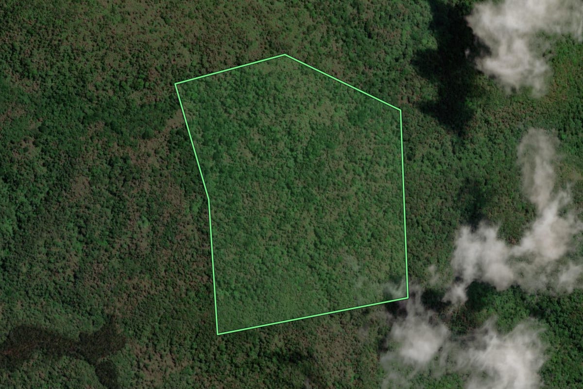 Imagem de satélite do imóvel rural em Petrolândia (SC), com o contorno declarado no CAR desenhado por cima.