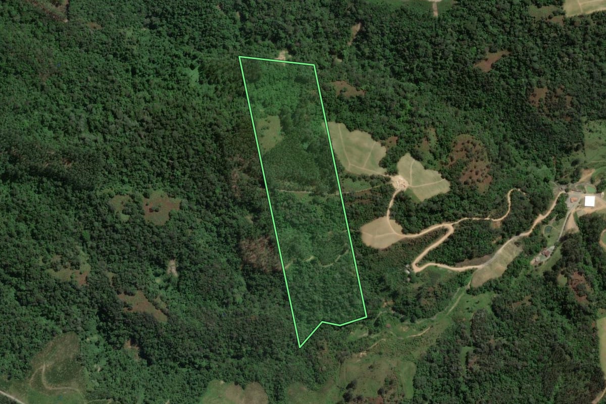 Imagem de satélite do imóvel rural em Petrolândia (SC), com o contorno declarado no CAR desenhado por cima.