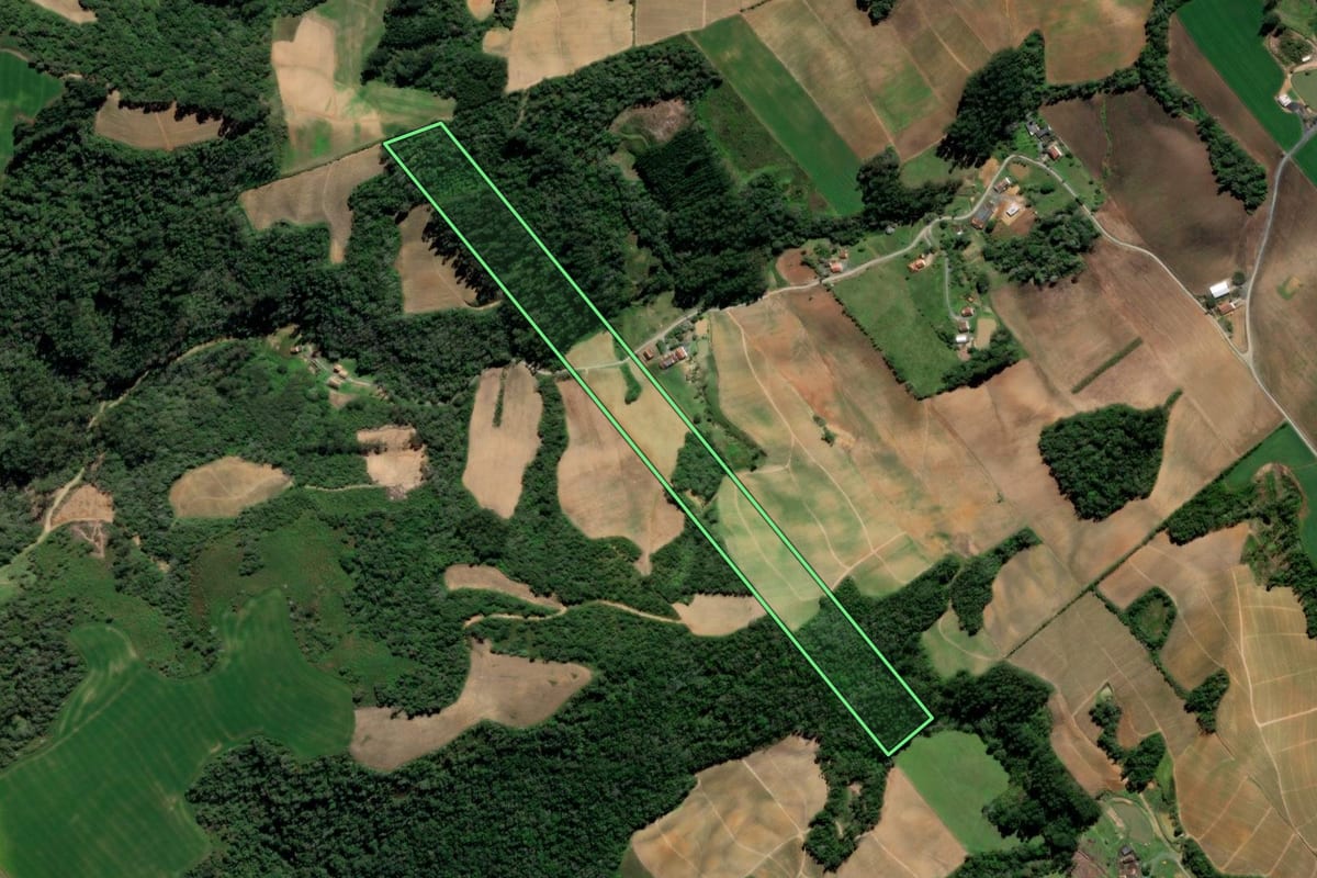 Imagem de satélite do imóvel rural em Petrolândia (SC), com o contorno declarado no CAR desenhado por cima.