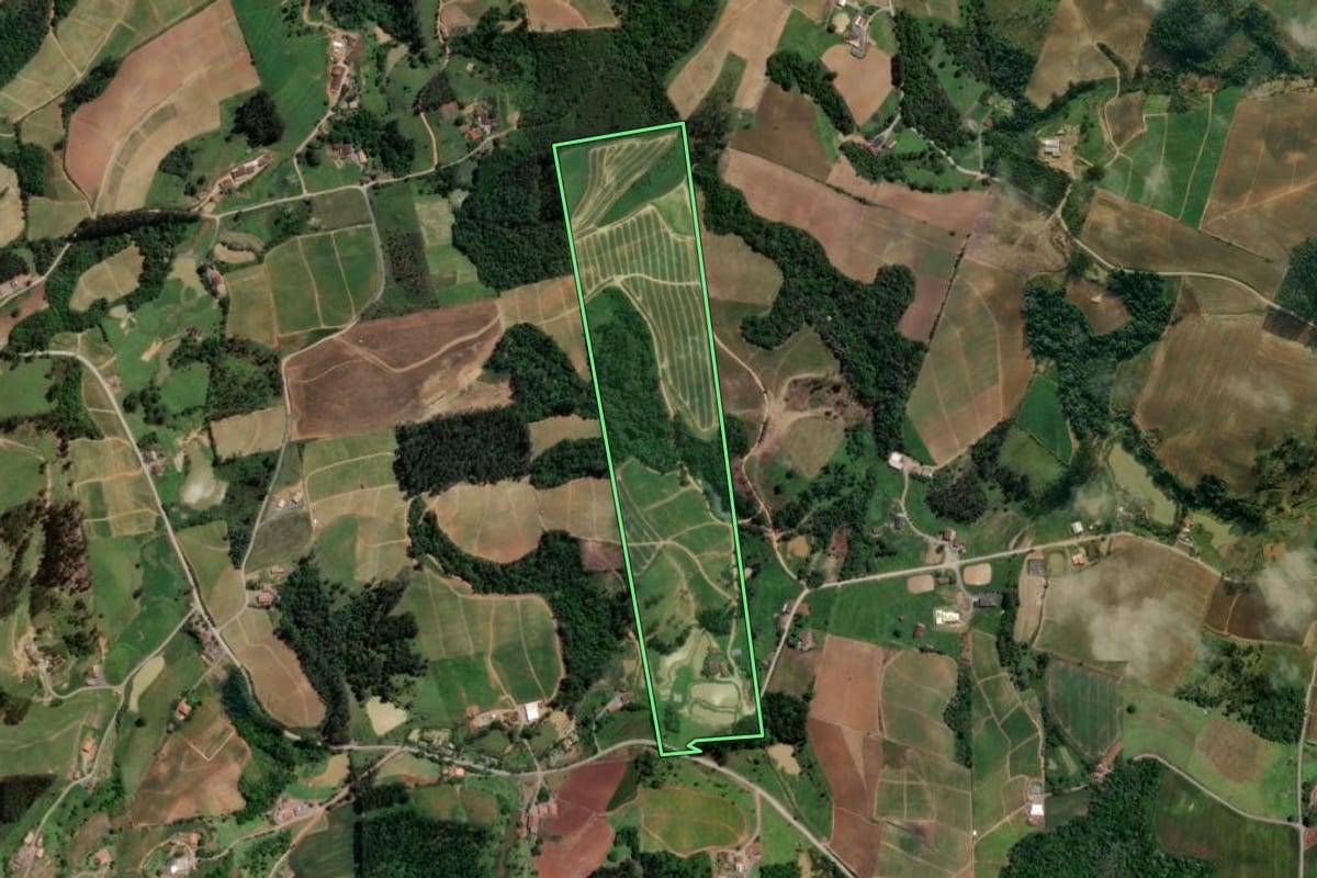 Imagem de satélite do imóvel rural em Petrolândia (SC), com o contorno declarado no CAR desenhado por cima.