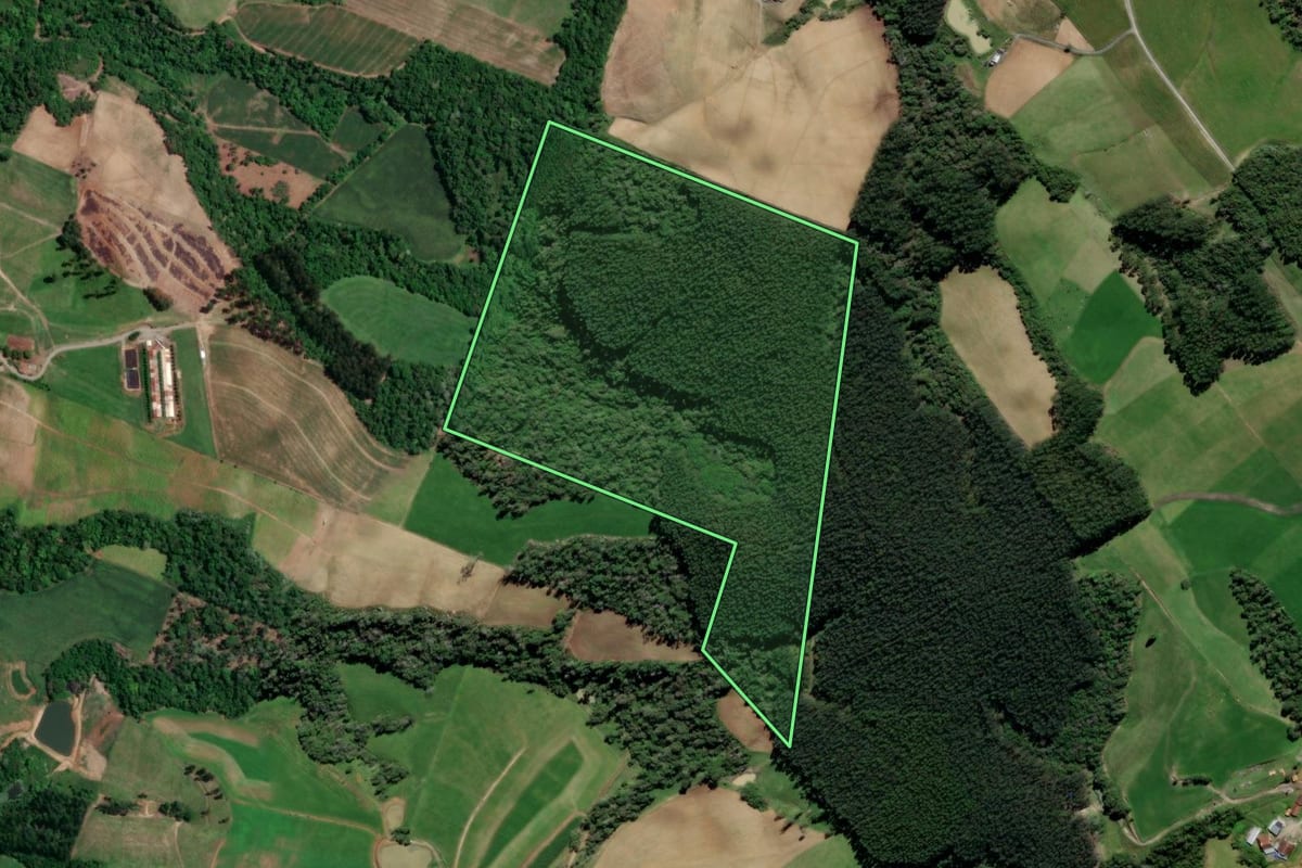Imagem de satélite do imóvel rural em Petrolândia (SC), com o contorno declarado no CAR desenhado por cima.
